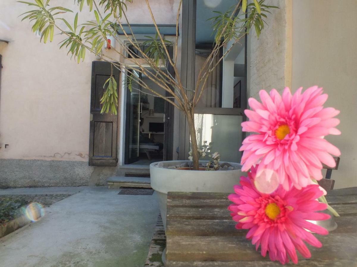 Апартаменты Loft Garden In Bologna'S Heart Ospedale Rizzoli Экстерьер фото